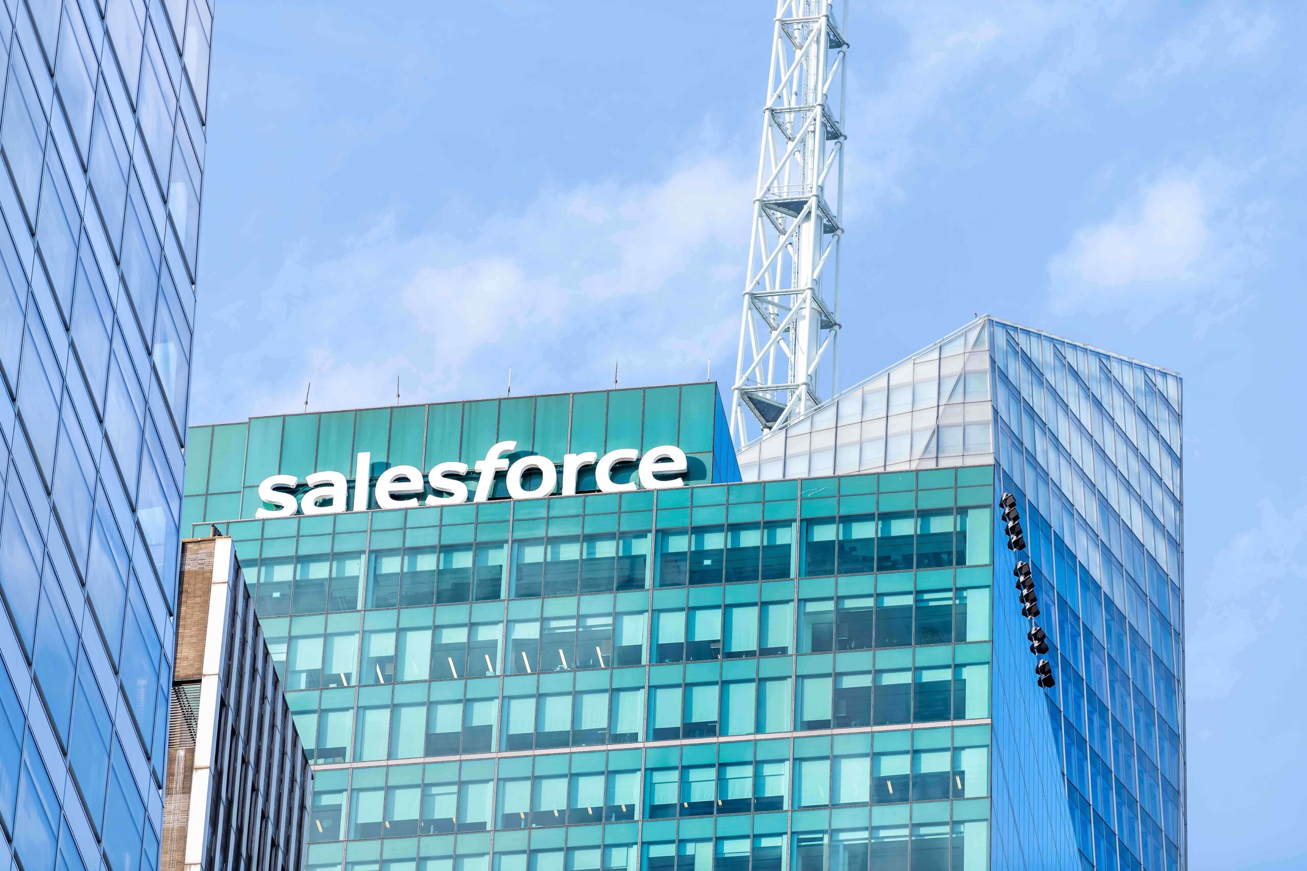 Salesforce Consultant